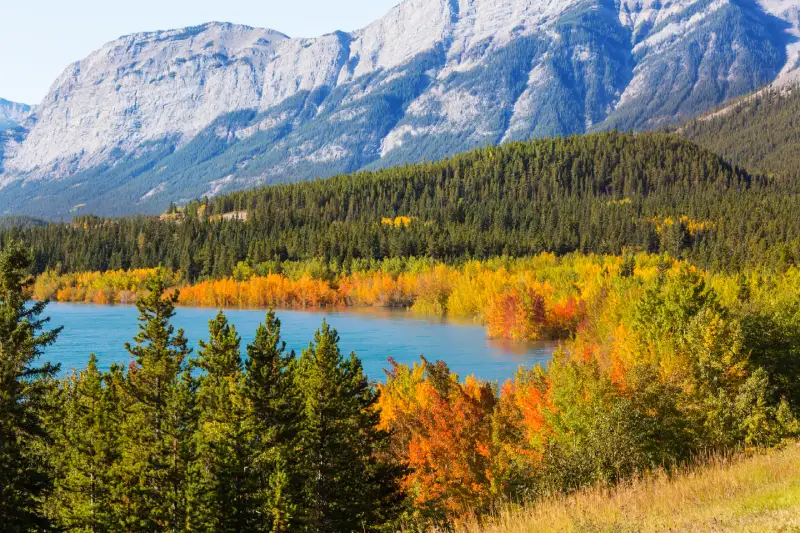 Magnifique paysage pendant l'été indien au Canada