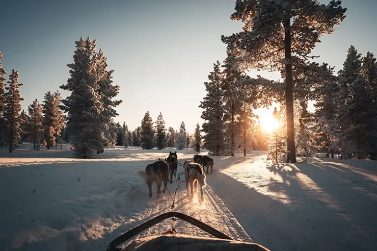 Découvrir la Laponie en Hiver : Un Voyage Enchanteur